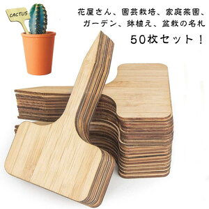 ؐ A^O ~̓^O Ax |px | ^x T^x ^O K[fjO l[v[g |x  Ax |x 50 A ~ A 