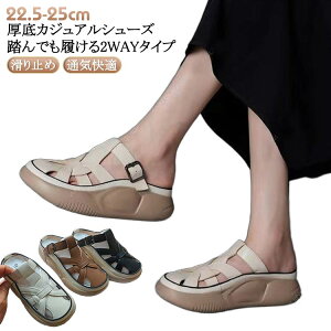 lԍHw T{T_ Oǂ JWAV[Y yʐ݌v fB[X gAbv5cm  EH[LOV[Y Xb| T{T_ L ~ r 