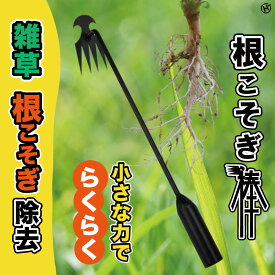 ＼エントリーでP5倍！マラソン期間中／ 根こそぎ棒 根かき棒 片手でラクに 雑草取り 草抜き 除草ツール 便利グッズ 隙間もごっそり 長さ50cm 4つの刃で土起こし 効率的 園芸用品 ガーデニング 農作業 鍬 レーキ 熊手 家庭用 スチール製 HDL-0273◇207x34