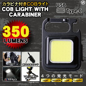超小型 ミニLEDハンディライト 懐中電灯 アウトドア 明るい 350lm コンパクト COBライト 軽量 カラビナ付き USB充電式 4つの発光モード キーホルダー 防犯 防災 非常時 SOS HDL-0574◇350x04