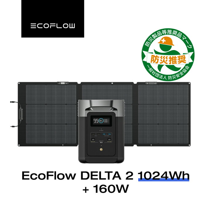 ecoflow EFDELTA1000 200W折り畳みソーラーパネルセット