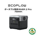 EcoFlow ポータブル電源 リン酸鉄 長寿命 1.2hフル充電 大容量 RIVER 2 Pro 768Wh 家庭用 蓄電池 発電機 ポータブルバ…