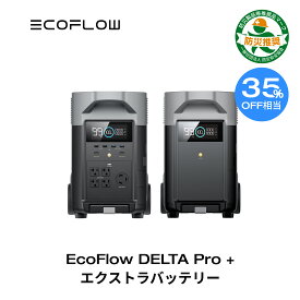 【開店3周年お祝い!クーポン併用で480,485円!4/25まで】EcoFlow ポータブル電源 DELTA Pro 3600Wh + 専用エクストラバッテリー セット 大容量 リン酸鉄 5年保証 3.1H急速充電 家庭用 蓄電池 発電機 防災対策 停電対策 非常用電源 拡張バッテリー 停電 節電対策 エコフロー