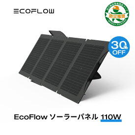 【クーポン使用で23,100円! 】EcoFlow ソーラーパネル 110W ソーラー充電器 太陽光発電 太陽光パネル ソーラーチャージャー 100W 折り畳み 高変換効率 ポータブル電源 IP67 防水防塵 超薄型 車中泊 防災 キャンプ 節電対策 停電 防災対策 エコフロー