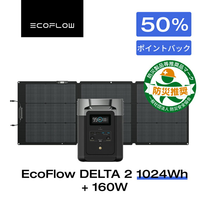 楽天市場】【クーポン併用で81,563円 11/20 00:00~】EcoFlow 