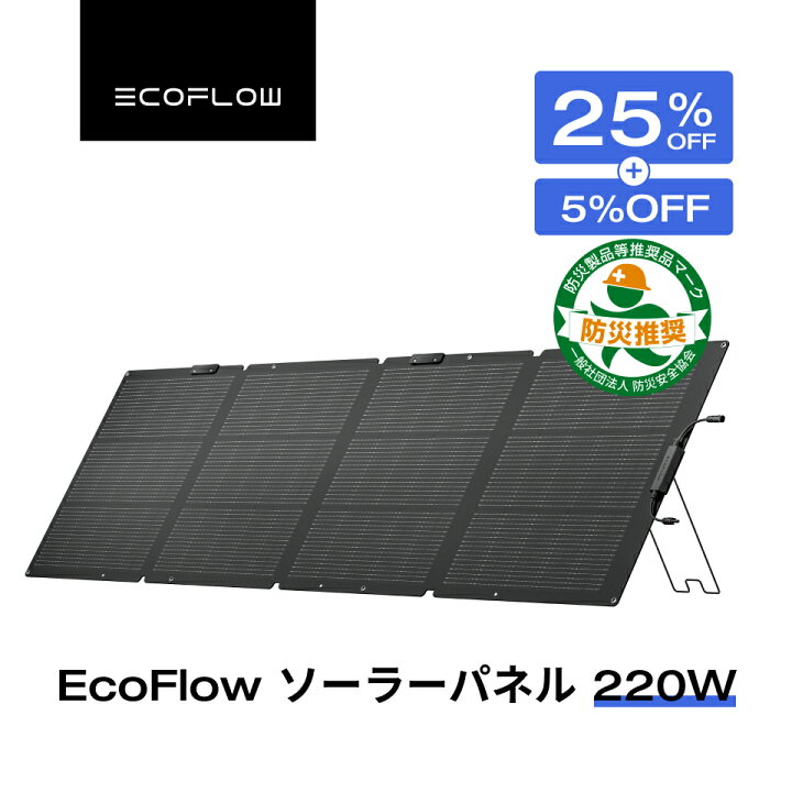 楽天市場】【クーポン併用で48,510円 11/20 00:00~】EcoFlow 