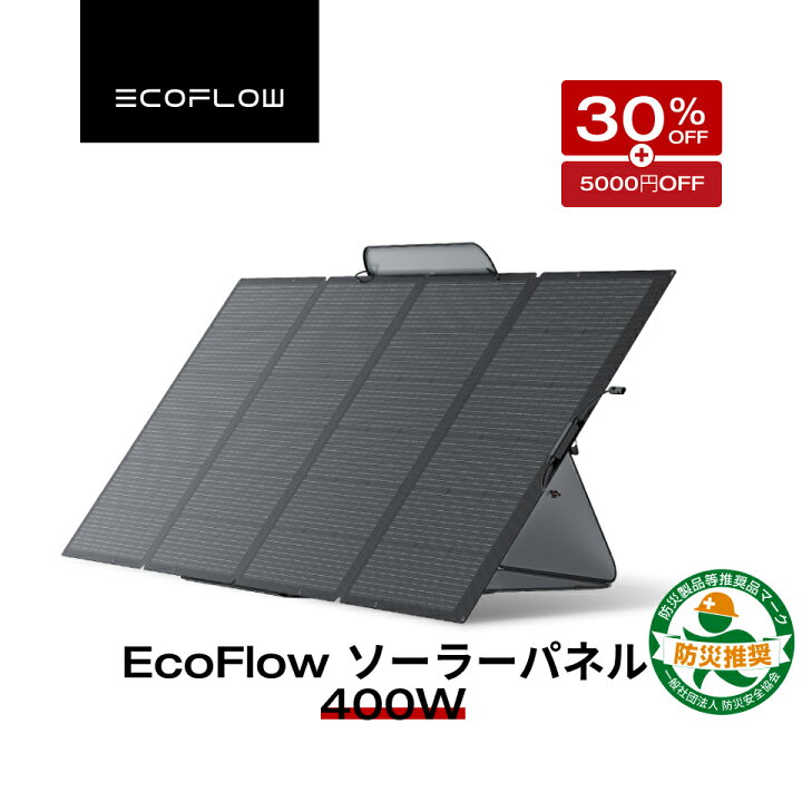 楽天市場】【クーポン併用で83,550円 12/19 00:00~】EcoFlow  