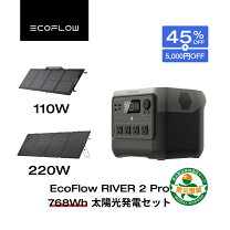 楽天市場】エコフロー ソーラーパネルの通販