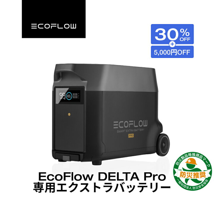楽天市場】【クーポン併用で226,000円 48H限定】EcoFlow DELTA Pro専用  