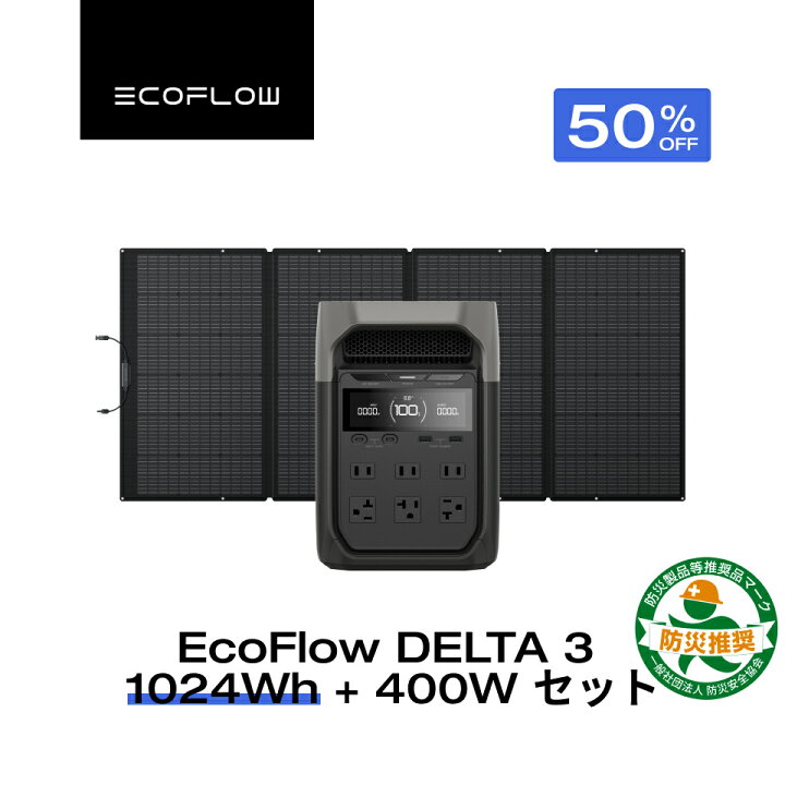 ecoflow EFDELTA1000 200W折り畳みソーラーパネルセット
