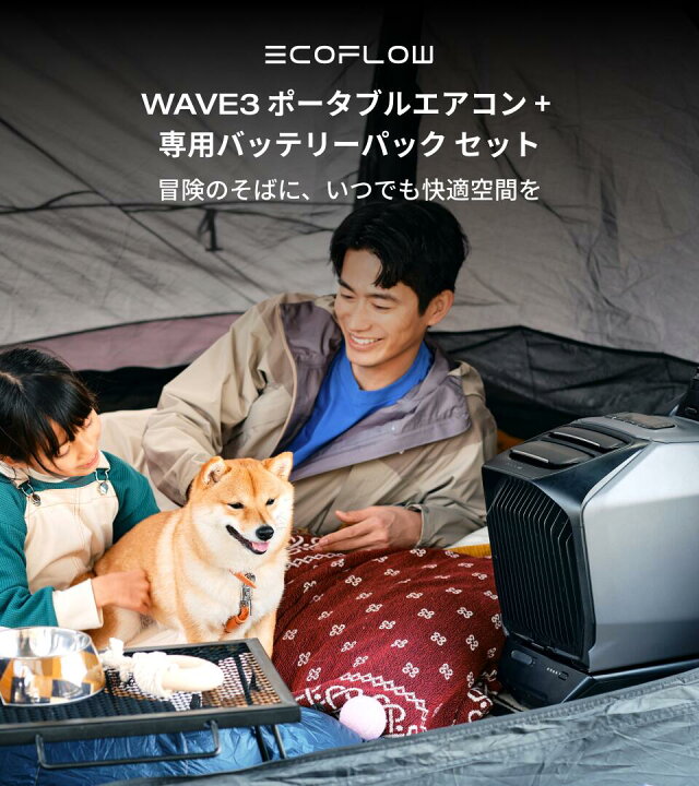 楽天市場】【新発売☆クーポン利用で173,388円 窓シートをプレゼント 