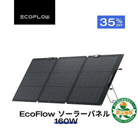 【クーポン利用で27,885円 8/4 0時~】EcoFlow ソーラーパネル 160W Gen2 ソーラー充電器 太陽光発電 太陽光パネル ソーラーチャージャー 折り畳み 25%高変換率 ポータブル電源 蓄電池 IP68 防水防塵 コンパクト 車中泊 キャンプ 節電 停電 防災 台風 エコフロー
