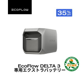 【クーポン利用で71,500円 7/11 23:59迄】EcoFlow DELTA 3 専用エクストラバッテリー 1024Wh ポータブル電源 アプリ対応 急速充電 純正弦波 非常用電源 車中泊 防災 停電 発電機 家庭用蓄電池 バッテリー キャンプ 蓄電池 デルタ2 エコフロー