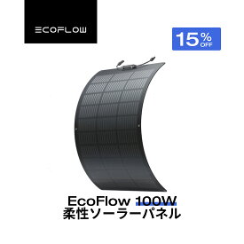 【クーポン利用で20,060円 8/4 0時~】100W柔性ソーラーパネル 据置型 フレキシブル 家庭用 太陽光パネル 単結晶 曲面可能 システム用 小型軽量 防水防塵 23%変換率 太陽光発電 キャンピングカー ソーラーチャージャー 節電防災 EcoFlow エコフロー