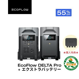【走行充電器をプレゼント！クーポン利用で336,105円 8/4 0時~】EcoFlow ポータブル電源セット DELTA Pro 3600Wh +専用エクストラバッテリー 大容量 3.1H急速充電 家庭用 蓄電池 発電機 防災対策 停電対策 非常用電源 拡張バッテリー 停電 節電対策 エコフロー