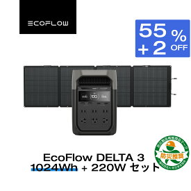 【タイムセール★クーポン併用で89,870円 8/14~】EcoFlow ポータブル電源 ソーラーパネル セット DELTA 3 1024Wh+220W 片面ソーラーパネルGen2 大容量 5年保証 長寿命 家庭用 蓄電池 太陽光発電 急速充電 車中泊 停電 防災グッズ 台風 節電 エコフロー