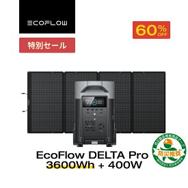 【クーポン利用で219,800円 12/11 23:59迄】EcoFlow ポータブル電源 リン酸鉄 大容量 ソーラーパネルセット DELTA Pro 3600Wh + 400W セット 太陽光発電 家庭用 蓄電池 発電機 バッテリー充電器 防災対策 非常用電源 停電 台風 防災グッズ 節電