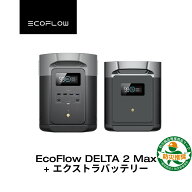 EcoFlow ポータブル電源 大容量 4096Whセット DELTA 2 Max 2048Wh + 専用エクストラバッテリー 長寿命 5…
