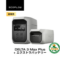 楽天市場】EcoFlow DELTA Max 専用 エクストラバッテリーの通販