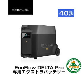 【クーポン利用で198,000円 1/18 00:00〜】EcoFlow DELTA Pro専用エクストラバッテリー 3600Wh 大容量 ポータブル電源 アプリ対応 急速充電 非常用電源 車中泊 防災グッズ 停電対策 発電機 家庭用蓄電池 バッテリー 拡張バッテリー キャンプ エコフロー