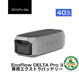 【クーポン利用で237,600円 1/9 20:00〜】EcoFlow DELTA Pro 3 専用エクストラバッテリー 4096Wh 大容量 非常用電源 車中泊 防災グッズ 停電対策 発電機 家庭用 蓄電池 バッテリー 拡張バッテリー キャンプ エコフロー