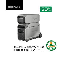 【クーポン利用で467,500円 3/11 23:59迄】EcoFlow ポータブル電源 DELTA Pro 3 4096Wh + 専用エクストラ…