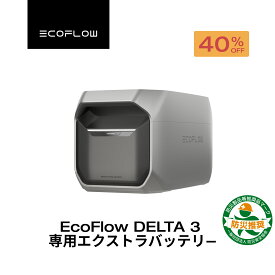 【クーポン利用で66,000円 9/4 20:00~】EcoFlow DELTA 3 専用エクストラバッテリー 1024Wh ポータブル電源 アプリ対応 急速充電 純正弦波 非常用電源 車中泊 防災 停電 発電機 家庭用蓄電池 バッテリー キャンプ 蓄電池 デルタ2 エコフロー