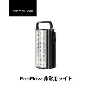 EcoFlow pCg USB