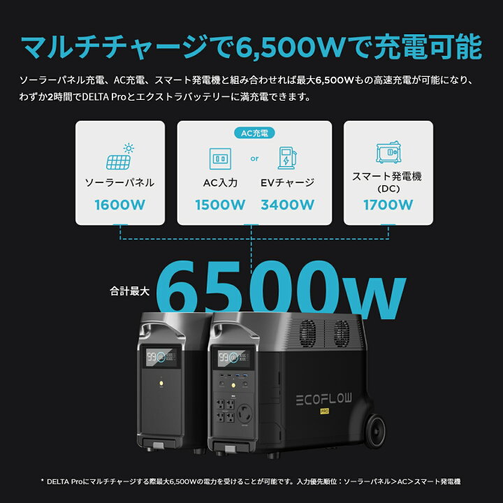 楽天市場】【売り切れ】EcoFlow DELTA Pro専用エクストラバッテリー 