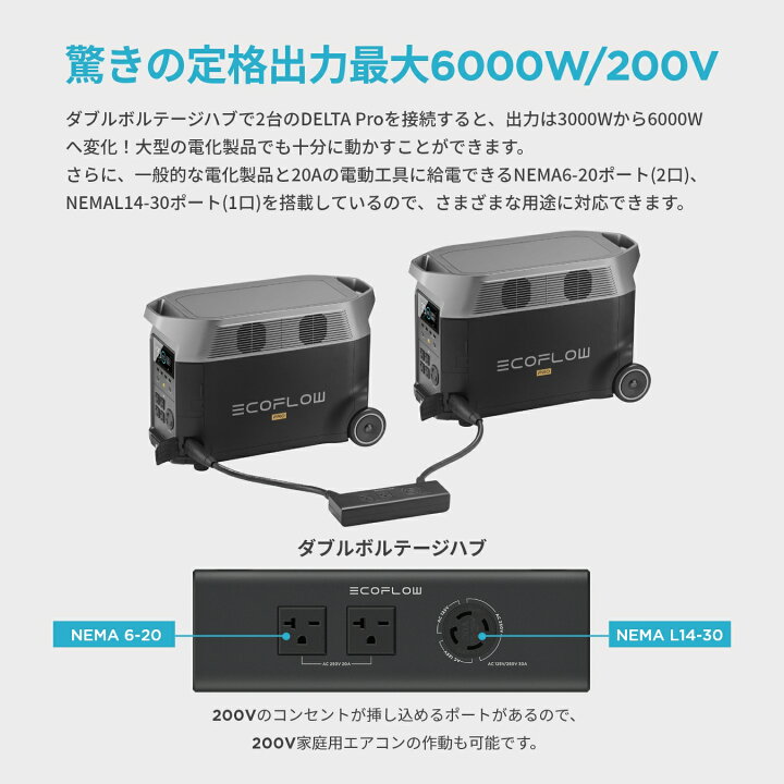 楽天市場】EcoFlow DELTA Pro専用 ダブルボルテージハブ ポータブル 