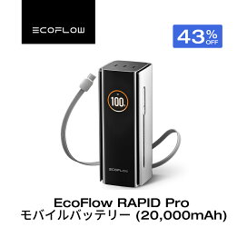 楽天市場】 モバイルバッテリー > RAPID シリーズ : EcoFlow公式楽天市場店
