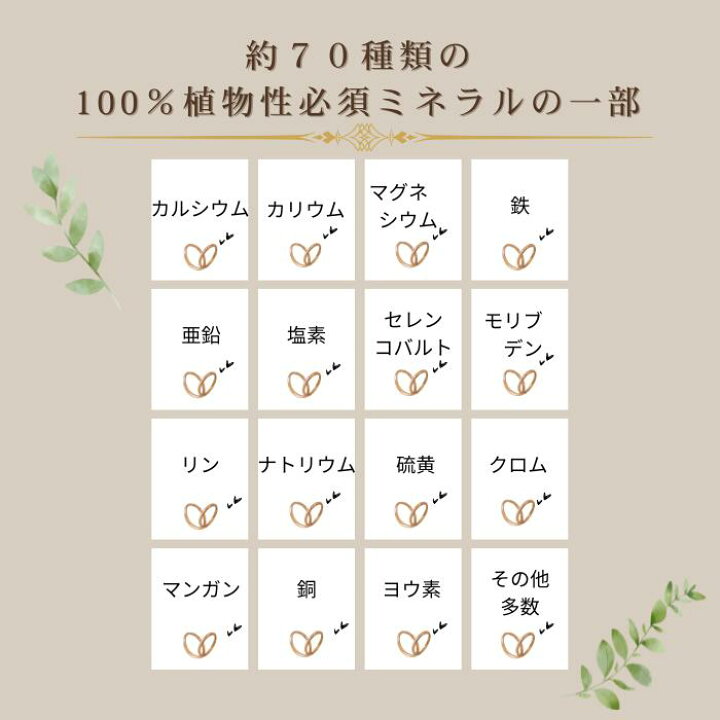 楽天市場】【正規販売店】3本セット割 FULVOVITA フルボヴィータ 