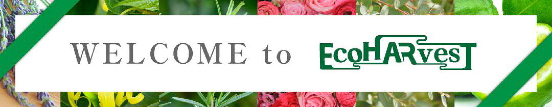 エコハーベスト楽天市場店へようこそ