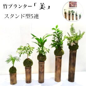 楽天市場 苔玉 花瓶 インテリア小物 置物 インテリア 寝具 収納の通販