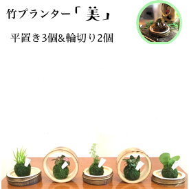 楽天市場 苔玉 花瓶 インテリア小物 置物 インテリア 寝具 収納の通販
