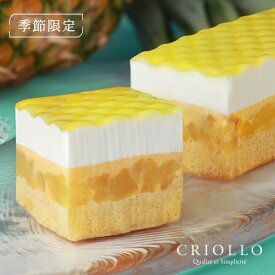 【季節限定】アナナス・ココ（パイナップルとココナッツムースのケーキ）【レクタ（長方形ケーキ）】【冷凍便】【朝9時までの注文・日時指定で当日出荷可】※9月19日までのお届け※オンライン限定