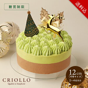 yzy125o׊JnzyzXEsX^[VEVRi12cmjy2025mGzyⓀցz1230܂ł̂͂