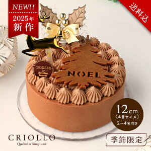 yzy125o׊JnzVREvlEmGi12cmjy2025mGzyⓀցzICVbvdl 1230܂ł̂͂