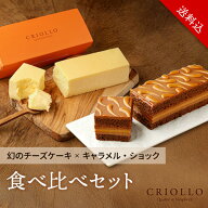 【送料込】【食べ比べセット】幻のチーズケーキ と キャラメル・ショコラ（キャラメルのチョコレートケー…