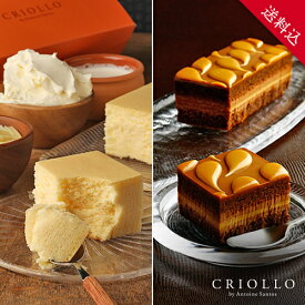 【送料込】【食べ比べセット】幻のチーズケーキ と キャラメル・ショック（キャラメルのチョコレートケーキ）【冷凍便】【朝9時までの注文で当日出荷可】