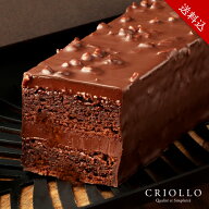 【送料込】トレゾー・ナチュール【チョコレートケーキ】【冷凍便】【2～5営業日で出荷】