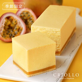 【楽天スーパーセール9/4 20時～9/11 1：59まで ポイント5倍】【季節限定】幻のトロピカルチーズケーキ（マンゴー＆南国フルーツ味）【レクタ（長方形ケーキ）】【冷凍便】【朝9時までの注文・日時指定で当日出荷可】※9月25日までのお届け