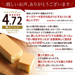 10分間で2000本完売!上品な口どけの幻のチーズケーキ(長方形)約3〜4名用【冷凍便】当日配達あす楽対応スイーツ敬老の日ギフトチーズケーキスフレタイプクリオロ