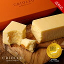 【送料込】【20周年記念 ノベルティ付き】幻のチーズケーキ【レクタ（長方形ケーキ）】【冷凍便】【朝9時までの注文で…