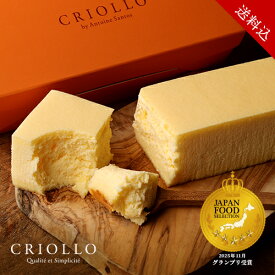 【送料込】【20周年記念 ノベルティ付き】幻のチーズケーキ【レクタ（長方形ケーキ）】【冷凍便】【朝9時までの注文で当日出荷可】【幻のチーズケーキ20周年！】JFSグランプリ受賞