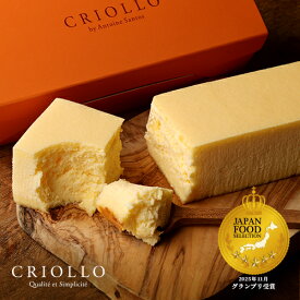 幻のチーズケーキ【冷凍便】【朝9時までの注文で当日出荷可】【レクタ（長方形ケーキ）】JFSグランプリ受賞