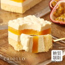 【季節限定】【糖質制限】スリム・パッション（パッションフルーツとバニラのケーキ）【レクタ（長方形ケーキ）】【冷凍便】【朝9時までの注文で当日出荷可】※9月7日までのお届け