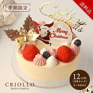 yzy125o׊JnzKCAEt[YEmGi12cmjy2025mGzyⓀցzICVbvdl 1230܂ł̂͂