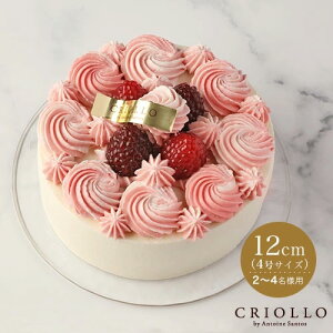 ラズベリー ケーキの人気商品 通販 価格比較 価格 Com