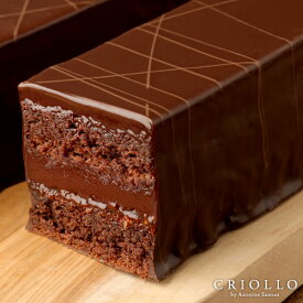 楽天市場 チョコレートケーキ ガトーショコラ 消費 賞味期限製造日から14日以内 ケーキ スイーツ お菓子 の通販